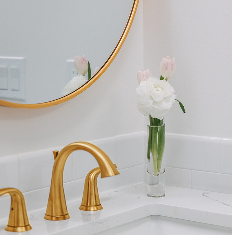 Book an In-Home Mold Test