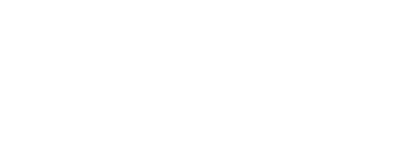 Michigan Mold Team