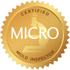 Micro Mold