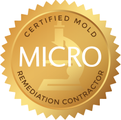 Micro Remeditation