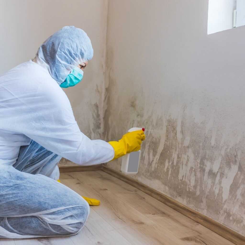 Professional removing mold from a moisture-damaged wall after signs of mold in house were discovered.