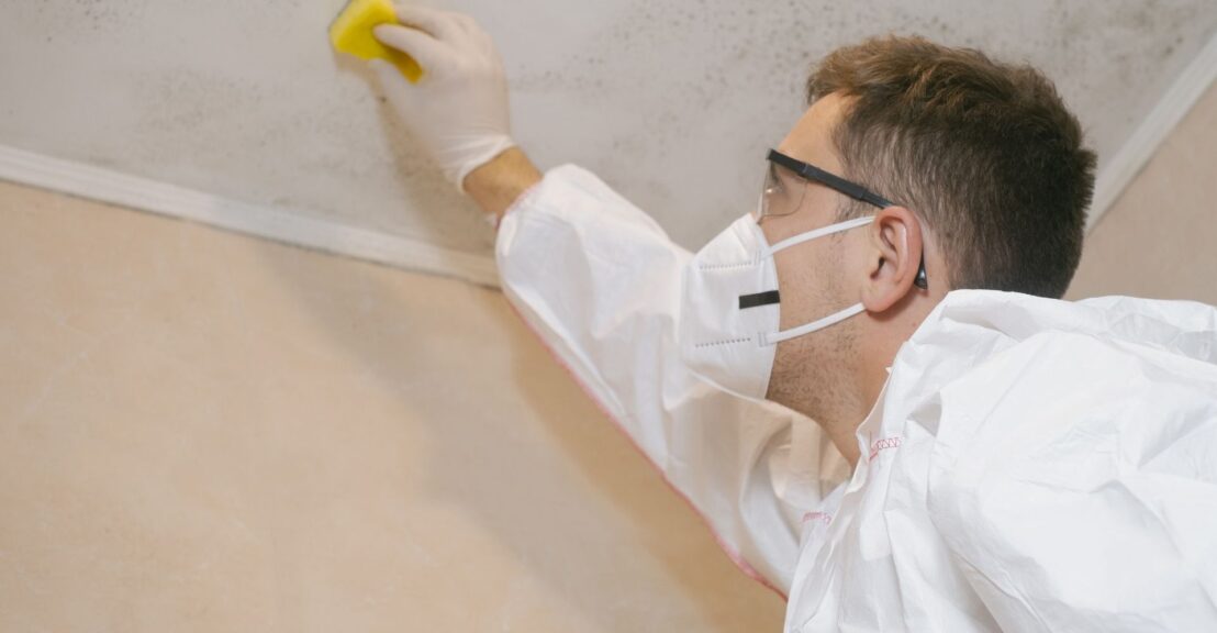 What Happens During a Professional Mold Inspection?