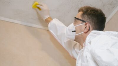 Professional performing a mold inspection on a ceiling with visible mold growth to identify moisture damage and assess the extent of contamination.