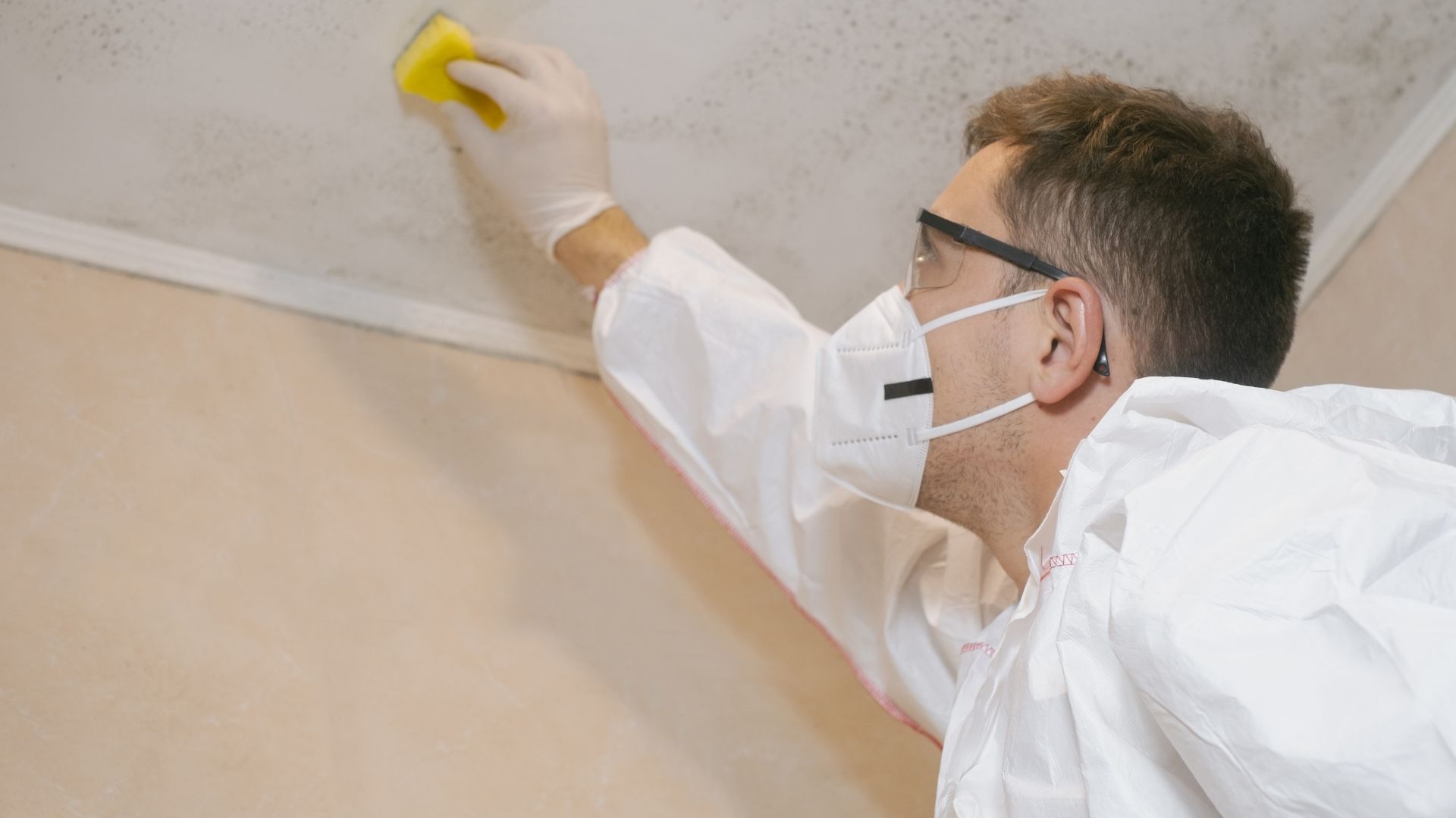 What Happens During a Professional Mold Inspection?